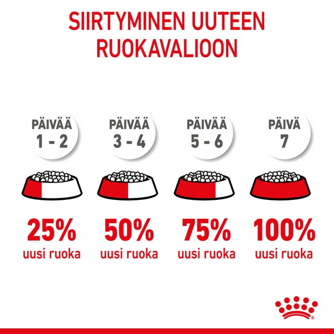 Royal Canin Kitten Sterilised kissanpennun kuivaruoka