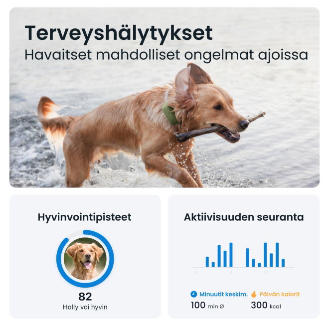 Tractive DOG XL – Koiran GPS ja terveysvahti isoille roduille, akunkesto 1 kk