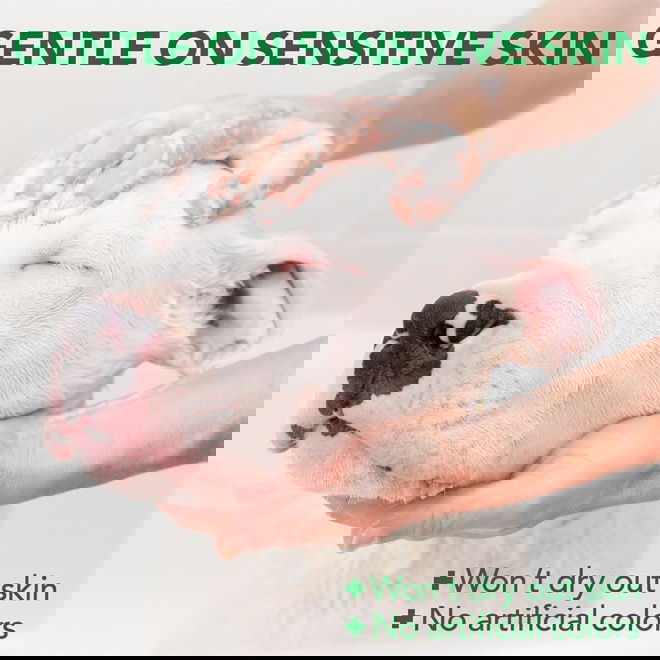 Vets Best Allergy itch Shampoo 500ml