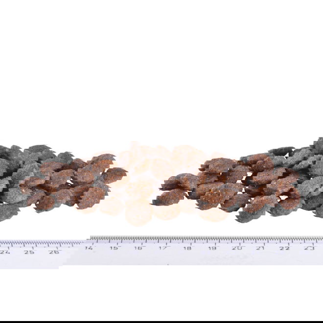 Brit Care Mini Grain Free Yorkshire Adult (2 kg)