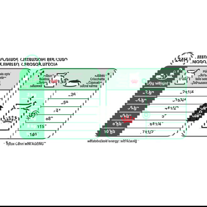 Royal Canin Mini Ageing Gravy koiran märkäruoka 12 x 85 g