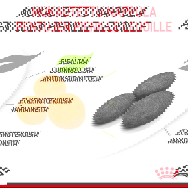 Royal Canin Maxi Puppy koiranpennun kuivaruoka