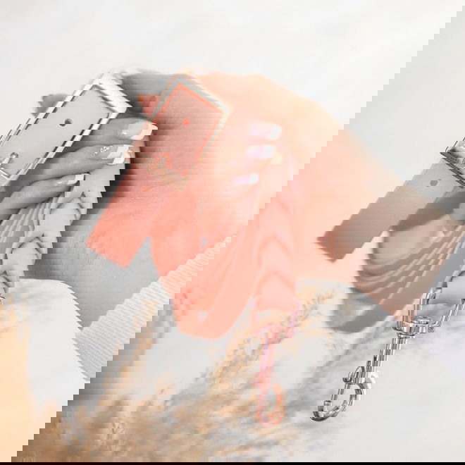 Tyylivoitto Braid koirantalutin, persikka/ruusukulta (16mm x 200cm)