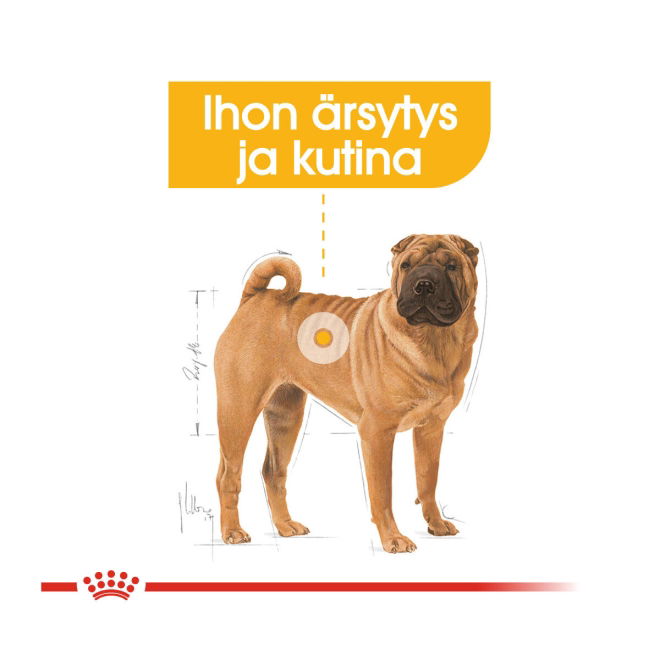 Royal Canin Dermacomfort Medium Adult koiran kuivaruoka