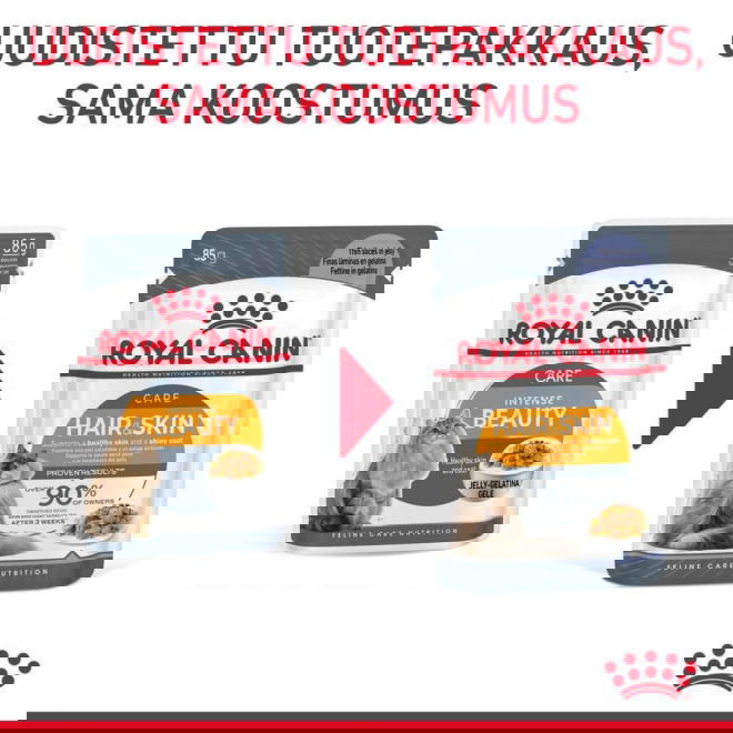 Royal Canin Hair & Skin Care Jelly Adult kissan märkäruoka