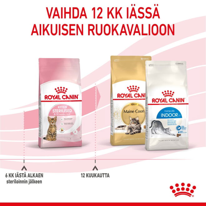 Royal Canin Kitten Sterilised kissanpennun kuivaruoka