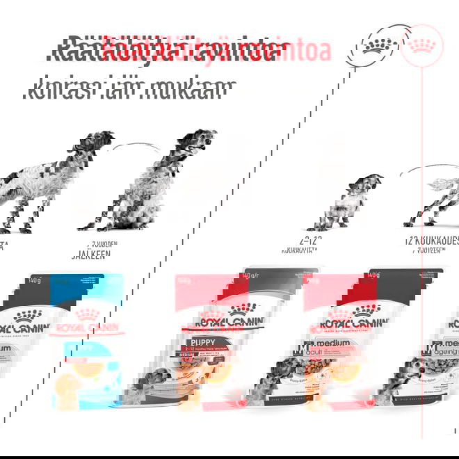 Royal Canin Medium Adult Gravy koiran märkäruoka 10x140g