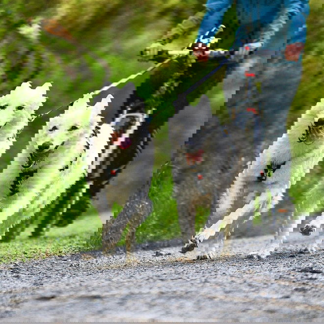 Non-stop Freemotion vetovaljas
