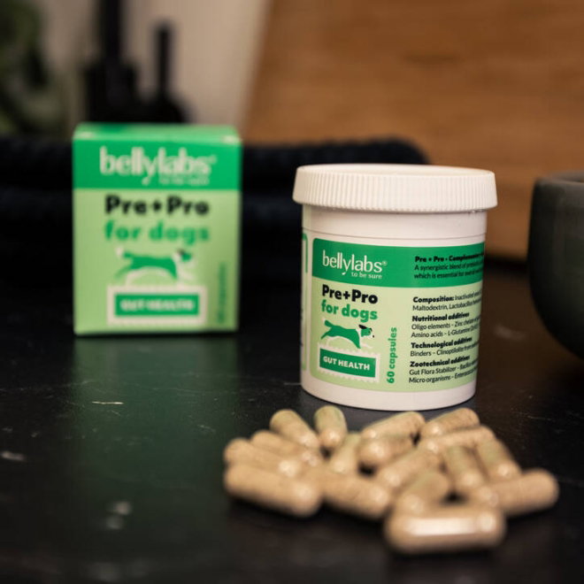Bellylabs Pre+Pro 60 kapselia