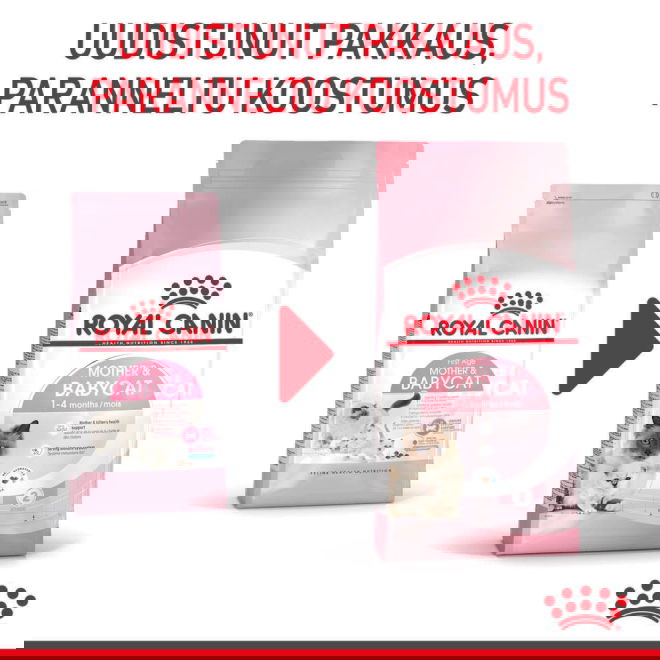 Royal Canin Mother & Babycat kissan ja kissanpennun kuivaruoka