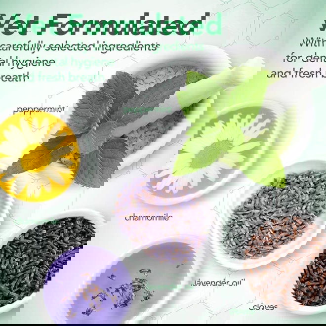 Vets Best Puppy Dental Care Kit