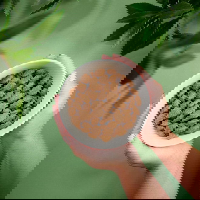 Purenatural Sensitive Duck (12 kg)