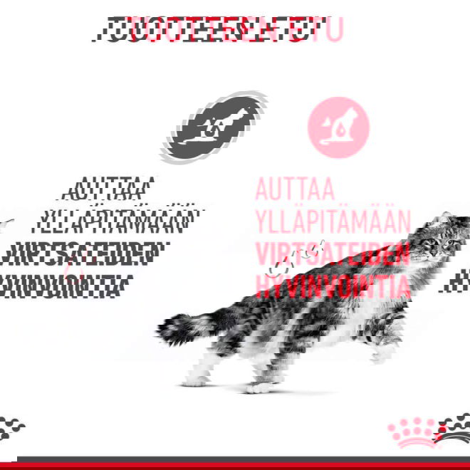 Royal Canin Urinary Care Adult kissan kuivaruoka