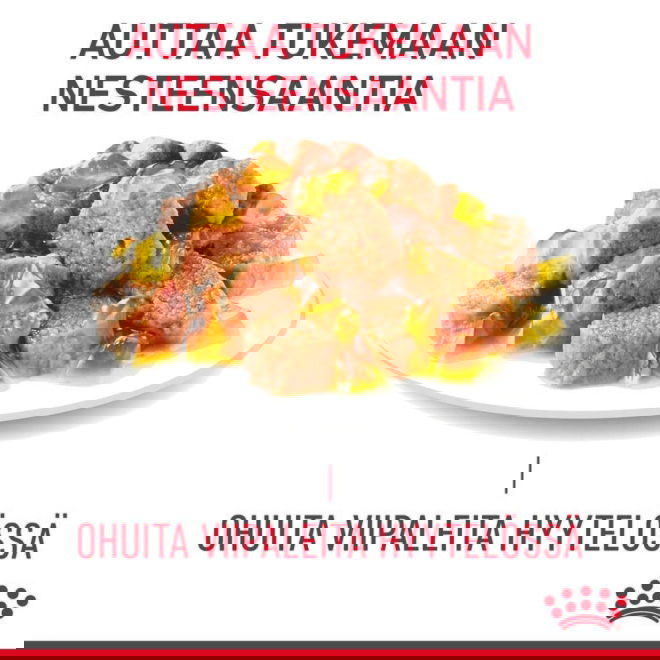 Royal Canin Hair & Skin Care Jelly Adult kissan märkäruoka