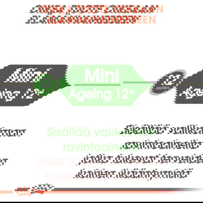 Royal Canin Mini Ageing Gravy koiran märkäruoka 12 x 85 g