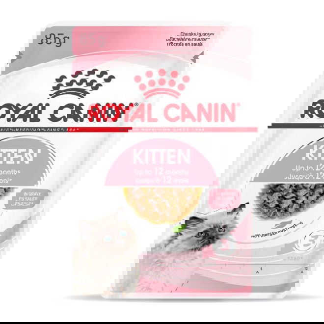 Royal Canin Kitten Gravy kissanpennun märkäruoka 12x85 g