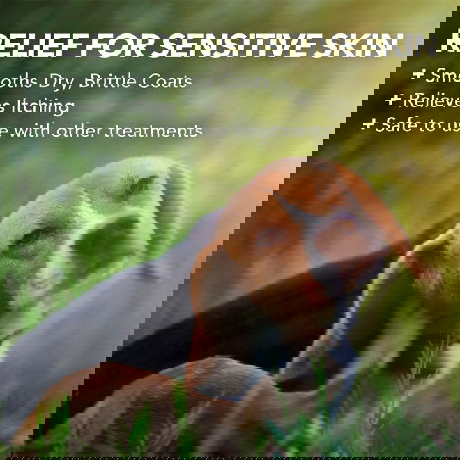 Vets Best Hypo Allerg. Shampoo 500ml