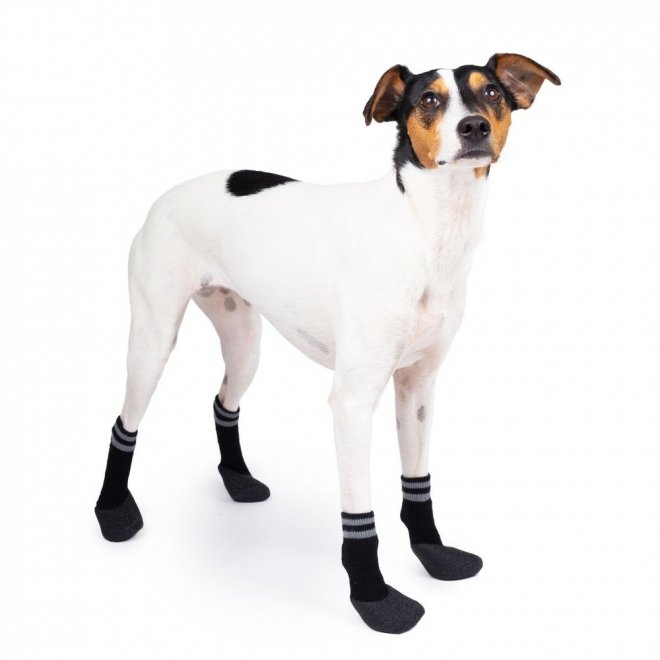 Basic Paws koiran sukat 4 kpl musta