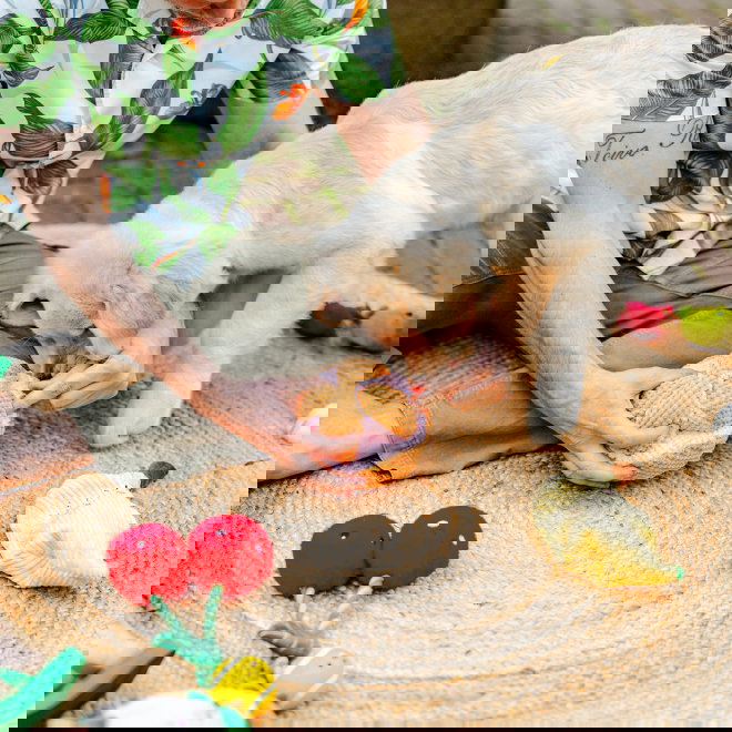 Little&Bigger Juicy Vibes virikepallo verigreippi