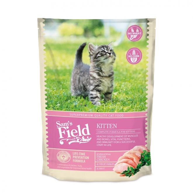 Sam&#39;s Field Cat Kitten 