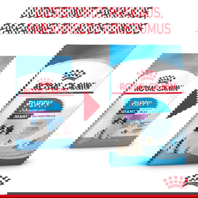 Royal Canin Giant Puppy koiranpennun kuivaruoka