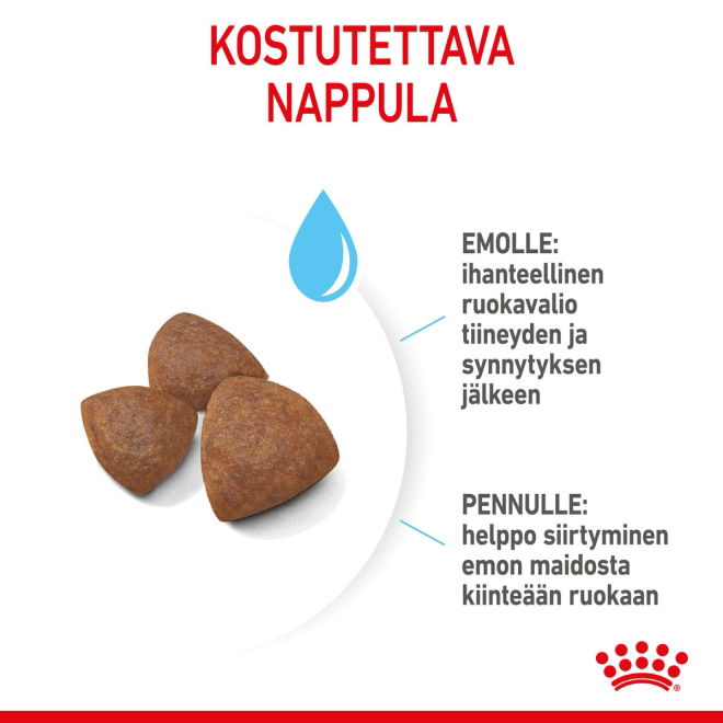 Royal Canin Medium Starter koiran ja koiranpennun kuivaruoka