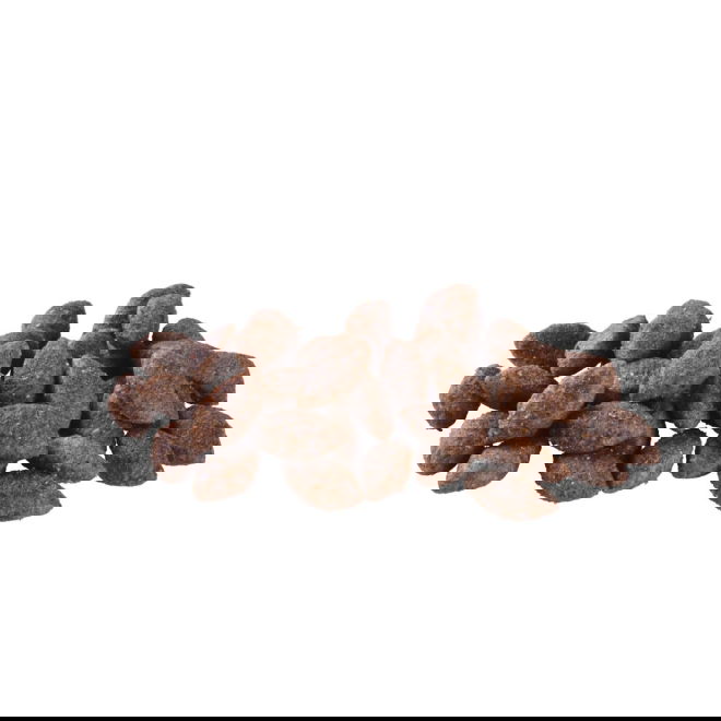 Brit Care Dog Sustainable Activity (12 kg)