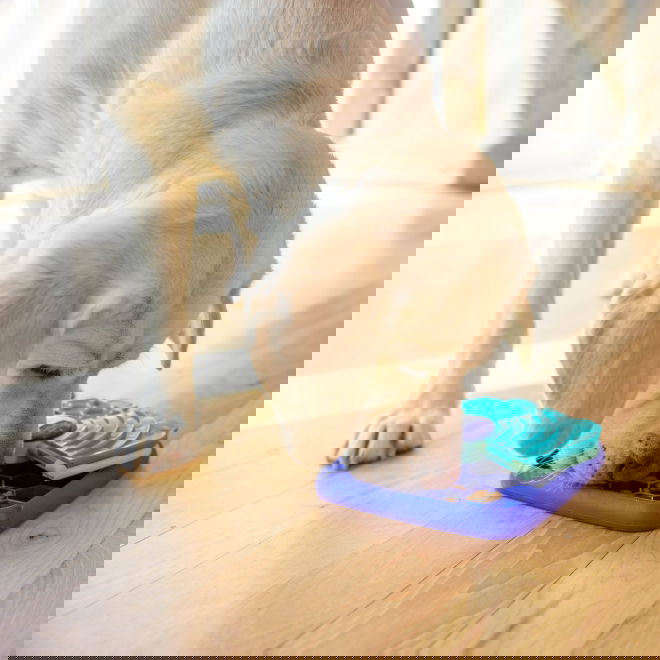 Nina Ottosson Lick N Flip lila S