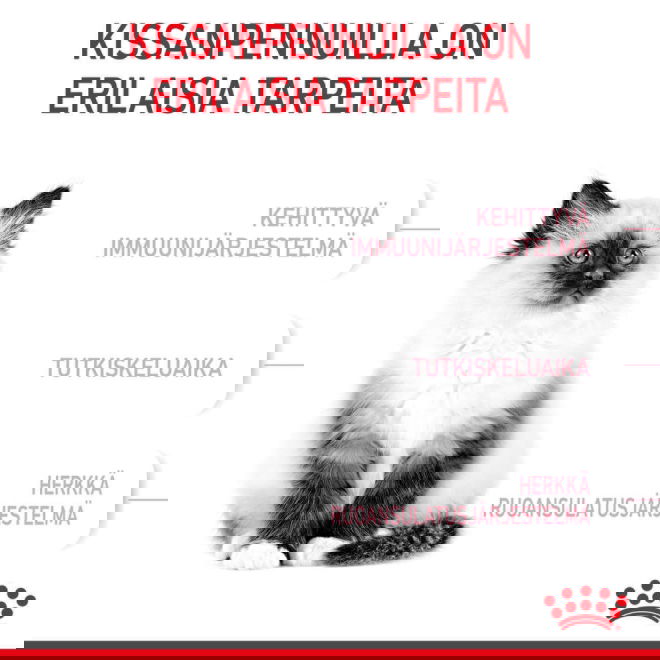 Royal Canin Kitten kissanpennun kuivaruoka