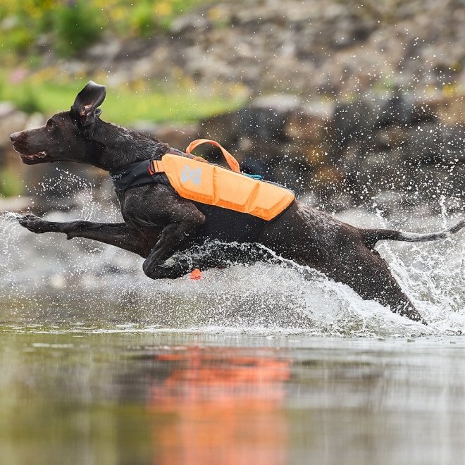Non-Stop Protector koirien pelastusliivi musta/oranssi