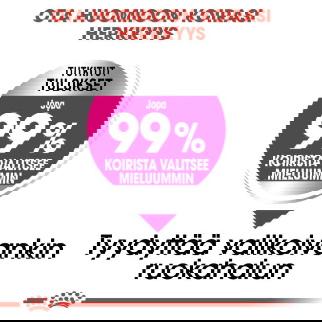 Royal Canin Exigent Mini Adult koiran kuivaruoka