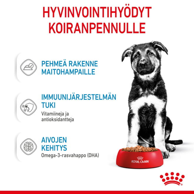 Royal Canin Maxi Puppy Gravy koiranpennun märkäruoka 10x140g