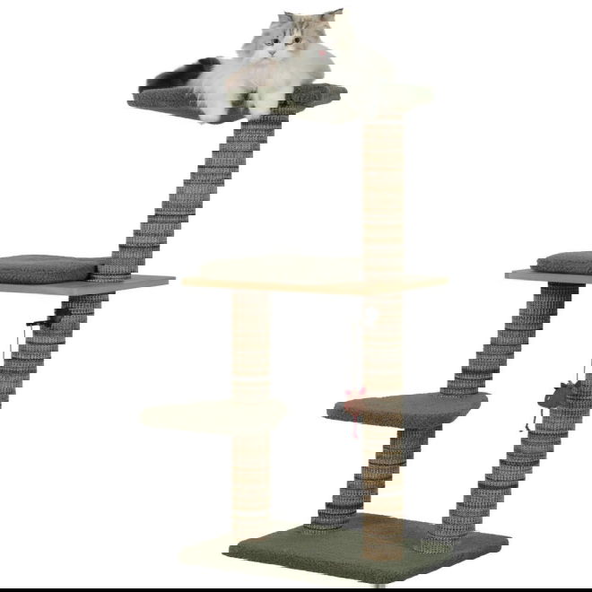 Zolux Boreal raapimapuu