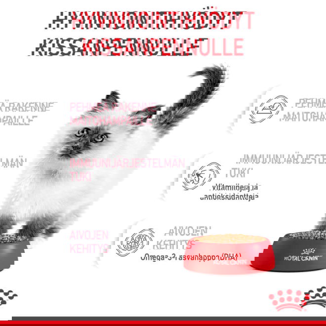 Royal Canin Kitten Gravy kissanpennun märkäruoka 12x85 g