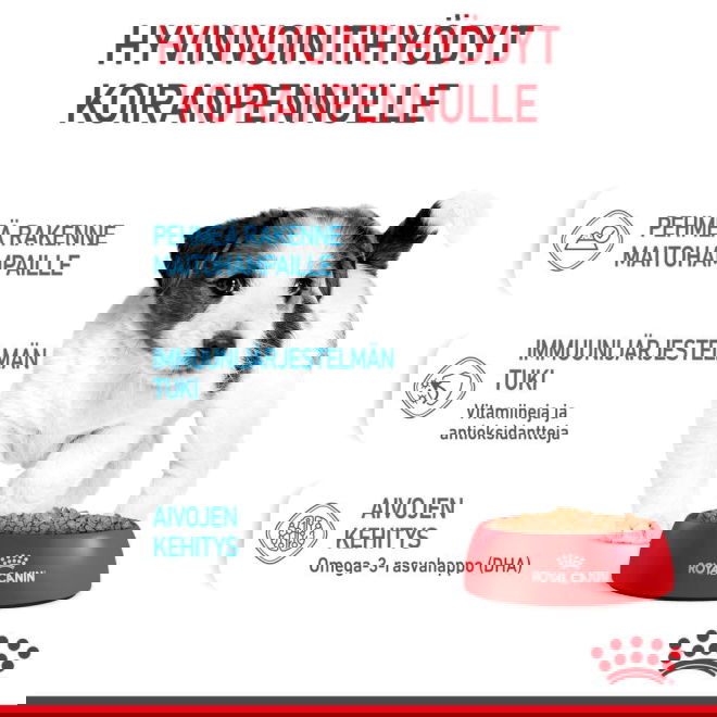 Royal Canin Mini Puppy koiranpennun m&auml;rk&auml;ruoka 12x85g