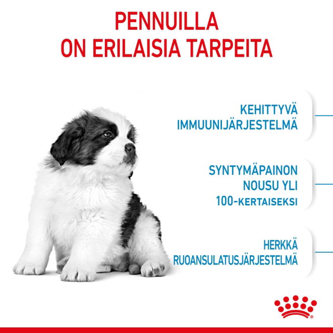 Royal Canin Giant Puppy koiranpennun kuivaruoka