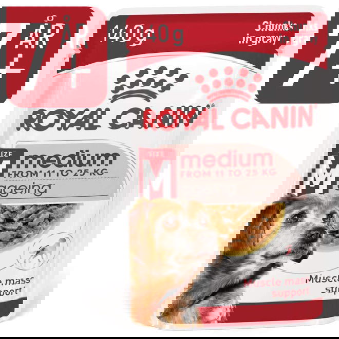 Royal Canin Medium Ageing Gravy koiran märkäruoka 10x140g