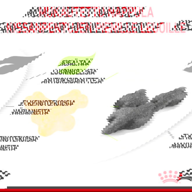 Royal Canin Kitten kissanpennun kuivaruoka