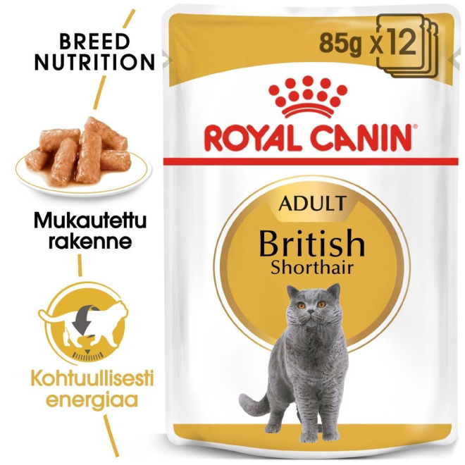 Royal Canin British Shorthair Adult Gravy kissan märkäruoka 12 x 85 g