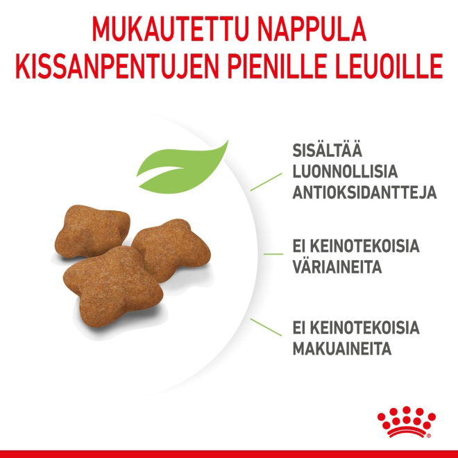 Royal Canin Kitten Sterilised kissanpennun kuivaruoka