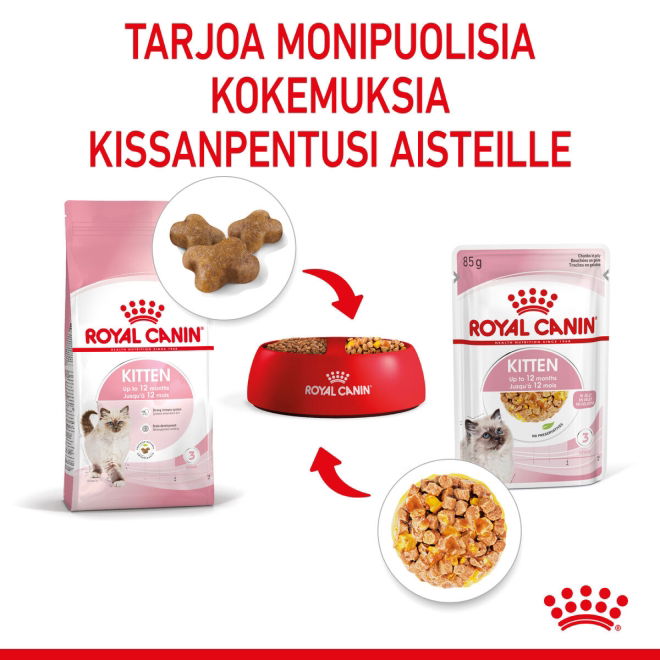 Royal Canin Kitten Jelly kissanpennun märkäruoka 12x85 g