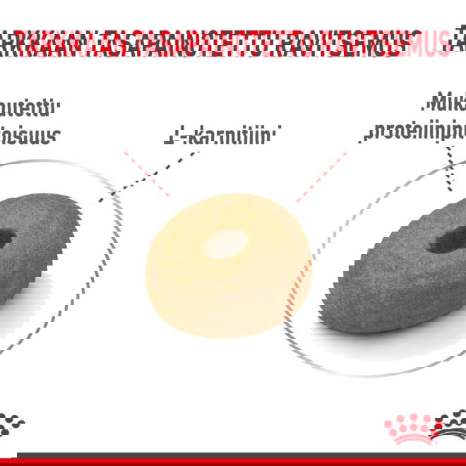 Royal Canin Light weight Care Maxi Adult koiran kuivaruoka