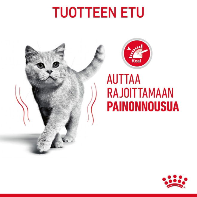 Royal Canin Light Weight Care Adult kissan kuivaruoka