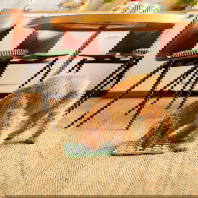 Little&Bigger Moon Man 3D nuuskulautanen kuu ja tähdet turkoosi