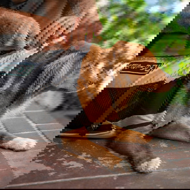 K9 Sport Sack Knavigate kantoreppu vaalean harmaa