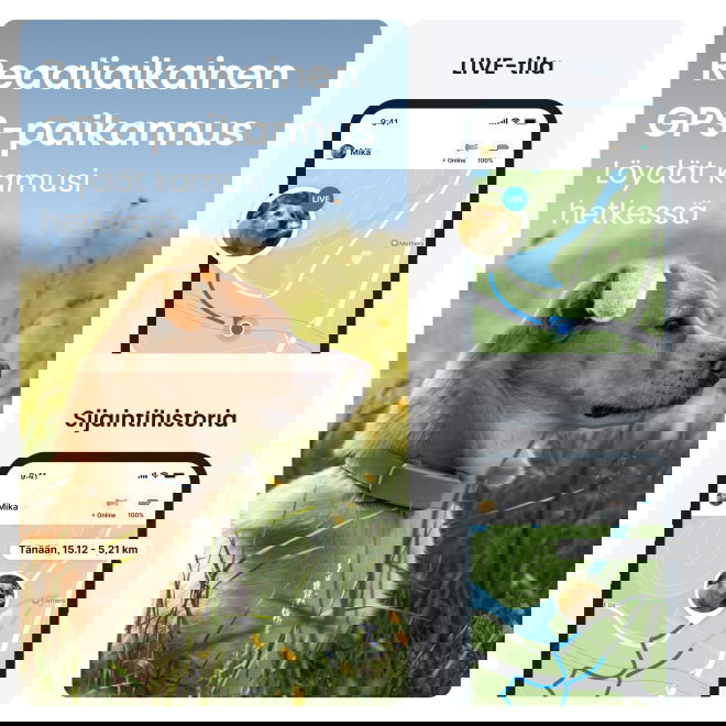 Tractive DOG 6 koira-GPS + terveysvahti &ndash; ruskea