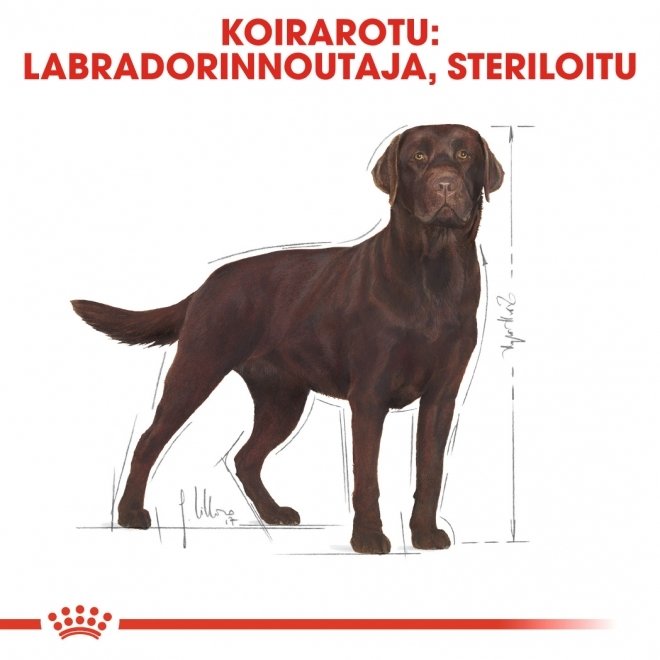 Royal Canin Breed Labrador Sterilised Adult