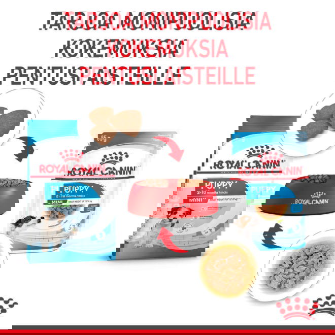 Royal Canin Mini Puppy koiranpennun m&auml;rk&auml;ruoka 12x85g