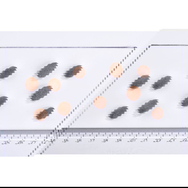 Brit Care Cat Grain Free Sensitive Insect & Fresh Herring (2 kg)