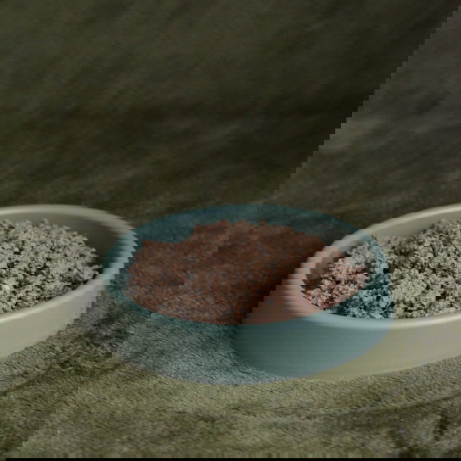 Boost Fresh Kana kissoille 150g